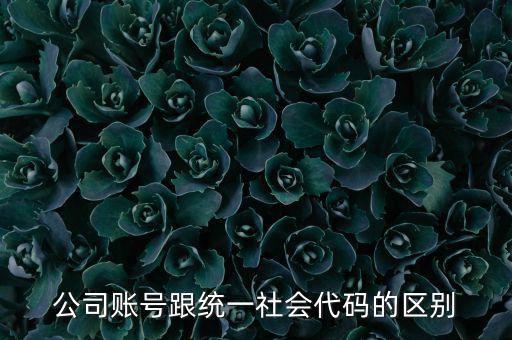 賬號上的統(tǒng)一社會代碼是什么意思，統(tǒng)一社會信用代碼有什么用