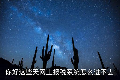 為什么個(gè)稅系統(tǒng)打不開，你好這些天網(wǎng)上報(bào)稅系統(tǒng)怎么進(jìn)不去