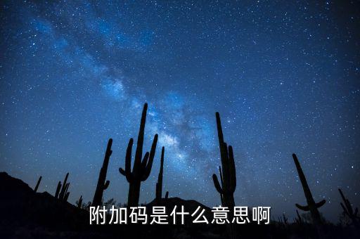 遼寧查發(fā)票有一個附加碼是什么，發(fā)票真?zhèn)尾樵兇a是什么