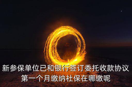 什么時(shí)候辦理授權(quán)劃繳協(xié)議，如何取得委托銀行劃轉(zhuǎn)地方稅費(fèi)授權(quán)書(shū)協(xié)議書(shū)去銀行還是去地稅