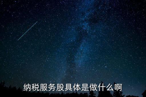 納稅服務股是什么意思，納稅服務股具體是做什么啊