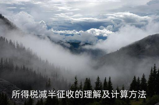 所得稅減半征收的理解及計(jì)算方法