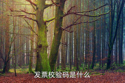 電子發(fā)票 查詢的驗證碼是什么，發(fā)票校驗碼是什么