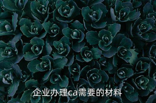 企業(yè)辦理ca需要的材料
