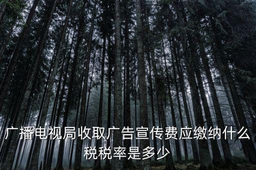 宣傳費屬于什么稅，廣播電視局收取廣告宣傳費應(yīng)繳納什么稅稅率是多少