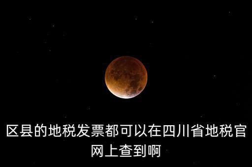 四川省網(wǎng)上稅務(wù)局用什么服務(wù)器，區(qū)縣的地稅發(fā)票都可以在四川省地稅官網(wǎng)上查到啊