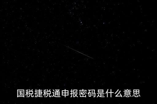 稅務(wù)軟件申報(bào)密碼是什么意思，納稅申報(bào)密碼是什么