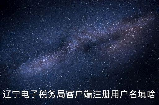 遼寧省網(wǎng)上稅務(wù)局登錄需要什么，遼寧電子稅務(wù)局客戶端注冊用戶名填啥