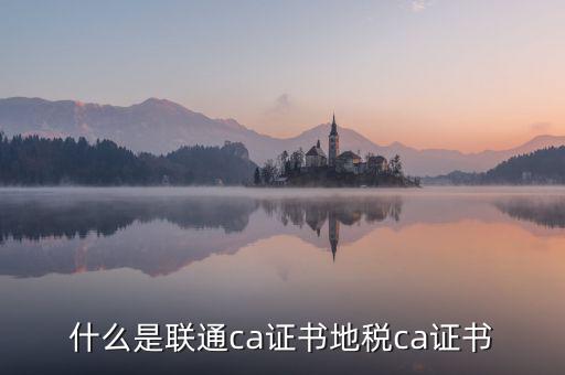 什么是地稅ca證書，社保CA地稅CA