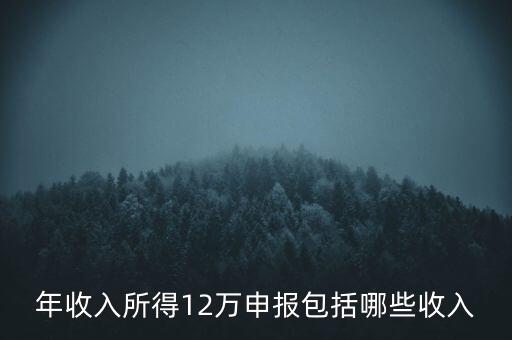 十二萬申報(bào)是什么，12萬個(gè)稅申報(bào)有什么用