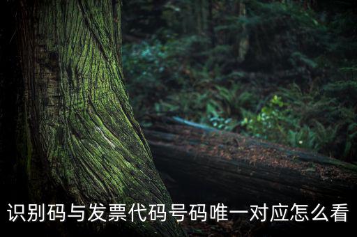 發(fā)票查詢識別碼是什么，識別碼與發(fā)票代碼號碼唯一對應怎么看