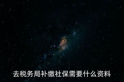 去稅務(wù)局補(bǔ)繳社保需要什么資料