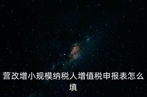 營改增需要填什么表，營改增小規(guī)模納稅人網(wǎng)上納稅申報需要填寫幾張表