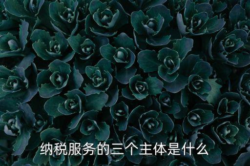 納稅服務(wù) 是什么，納稅服務(wù)的三個(gè)主體是什么