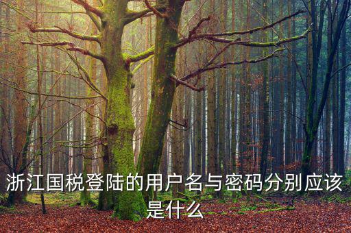 浙江國(guó)稅登陸的用戶名與密碼分別應(yīng)該是什么