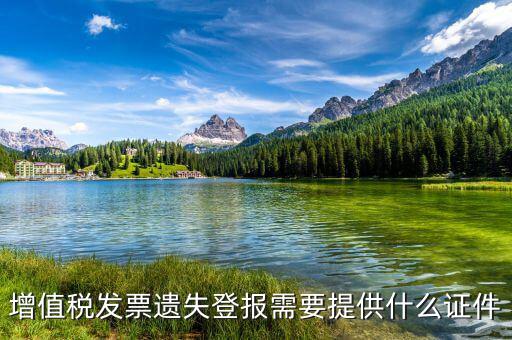 深圳地稅發(fā)票遺失要什么手續(xù)，遺失地稅服務(wù)業(yè)的發(fā)票該怎么辦