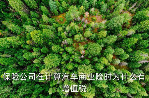 車輛保險增值稅是什么意思，保險公司在計算汽車商業(yè)險時為什么有增值稅