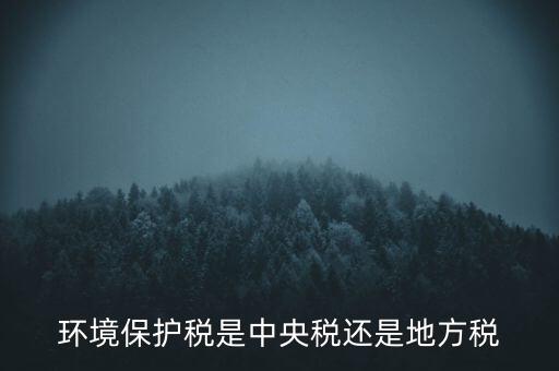 環(huán)境保護(hù)稅的機(jī)關(guān)是什么，環(huán)境保護(hù)稅由哪個機(jī)關(guān)負(fù)責(zé)征收