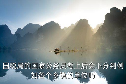 國稅局的國家公務(wù)員考上后會下分到例如各個(gè)鄉(xiāng)鎮(zhèn)的單位嗎