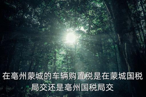 國(guó)稅局掛牌是什么意思，濮陽(yáng)摩托辦照