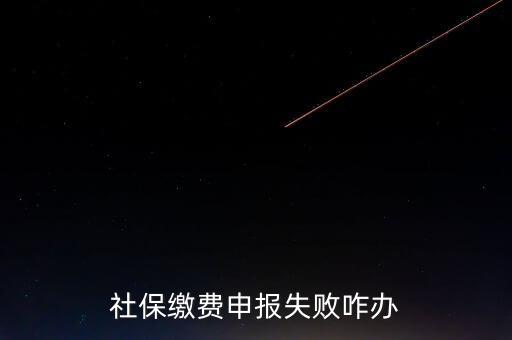 社保費(fèi)申報為什么進(jìn)不去，社保繳費(fèi)申報失敗咋辦
