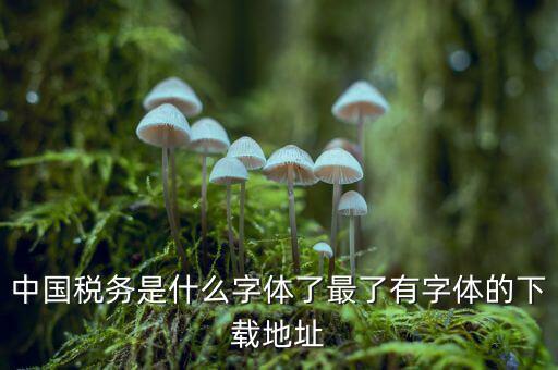 中國(guó)稅務(wù)是什么字體，中國(guó)稅務(wù)是什么字體了最了有字體的下載地址