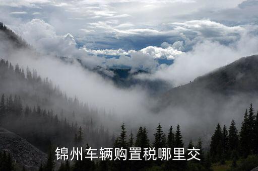 錦州國(guó)稅局車(chē)輛購(gòu)置部門(mén)是什么，錦州機(jī)動(dòng)車(chē)購(gòu)置稅在哪里交