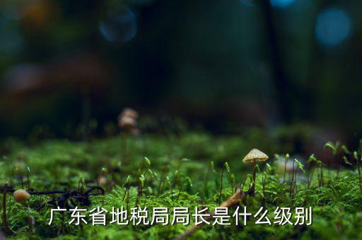 地稅局長是什么級別，廣東省地稅局局長是什么級別