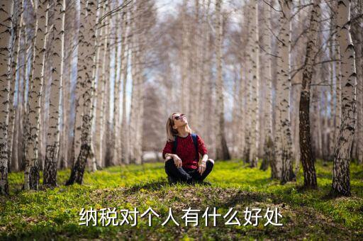 納稅對個人有什么好處
