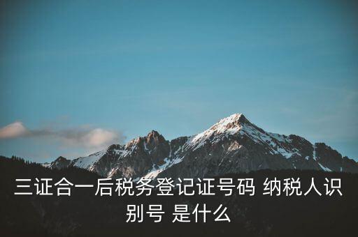 三證合一納稅識別號是什么，三證合一后納稅人識別號是什么意思