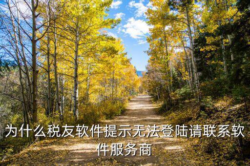 稅友的注冊(cè)編碼是什么，龍山稅友 網(wǎng)上電子報(bào)稅系統(tǒng)中的注冊(cè)編碼是什么
