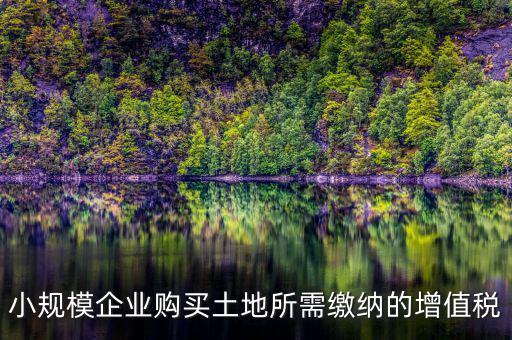 公司購買土地需要交什么稅，小規(guī)模企業(yè)購買土地所需繳納的增值稅