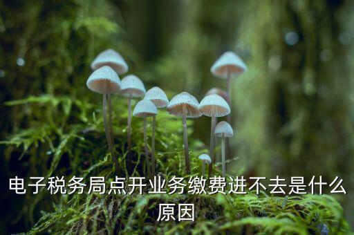 為什么江蘇省電子稅務(wù)局進不去，請問電子稅務(wù)局登不上去怎么回事