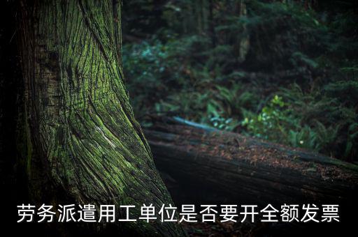 勞務(wù)派遣開什么票，勞務(wù)派遣小時工發(fā)票怎么開