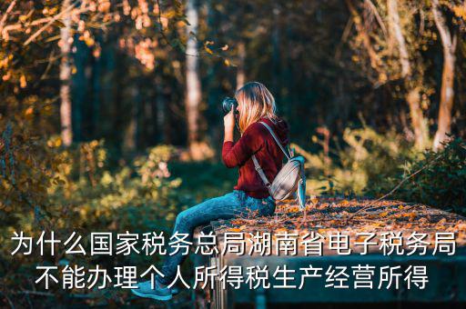 電子稅務局里面為什么沒有個稅，個人所得稅查不到怎么回事