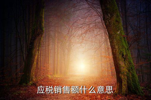 稅務(wù)銷售額是什么意思，年應(yīng)稅銷售額是什么意思