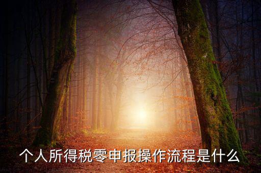 扣繳稅款登記主要流程是什么，納稅流程是怎樣的