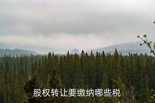 股權轉讓要繳納哪些稅