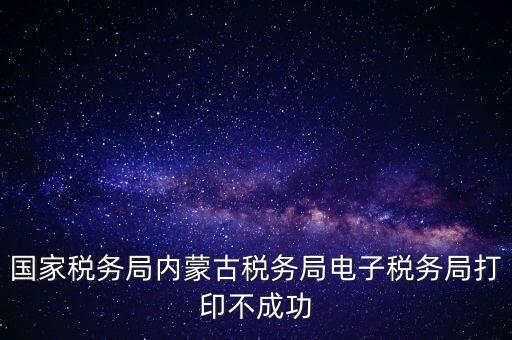 國家稅務局內蒙古稅務局電子稅務局打印不成功