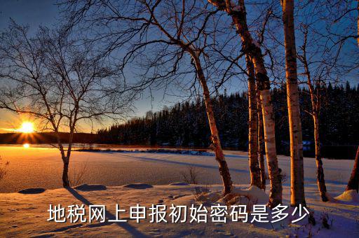 地稅網(wǎng)上申報(bào)初始密碼是多少