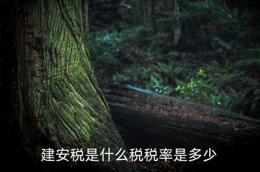 建安稅按什么征，營改增后建安稅稅種稅率有哪些