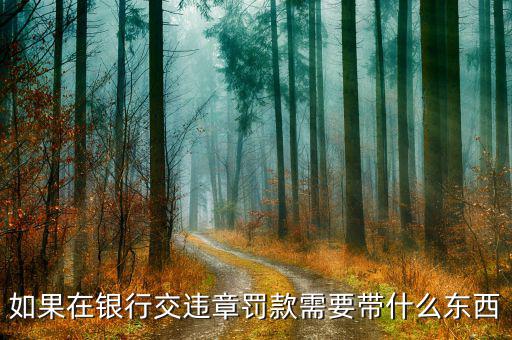 銀行端查詢繳款需帶什么，銀行端查詢繳稅業(yè)務(wù)如何辦理