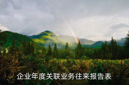 企業(yè)年度關(guān)聯(lián)業(yè)務(wù)往來(lái)報(bào)告表