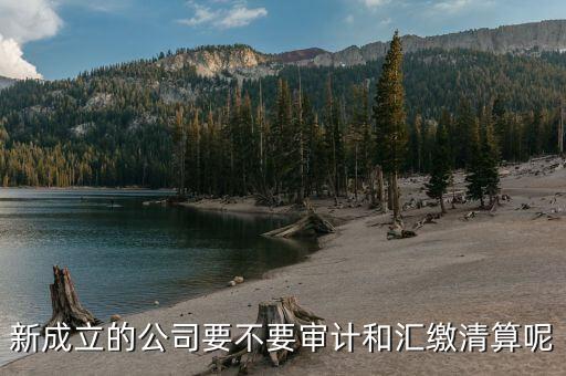 匯繳清算是什么意思，交清和繳清是一個意思嗎