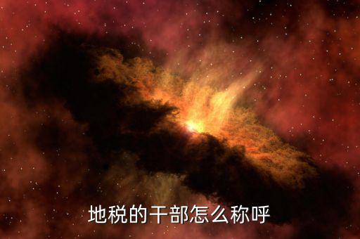 地稅局所長是什么級別，內(nèi)蒙古副廳級干部和內(nèi)蒙古地稅局副局長級哪個官位大