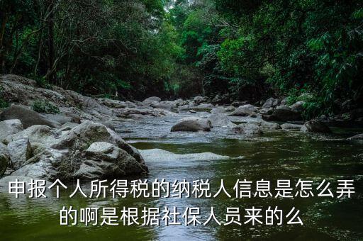 納稅人信息包括什么，申報個人所得稅的納稅人信息是怎么弄的啊是根據(jù)社保人員來的么