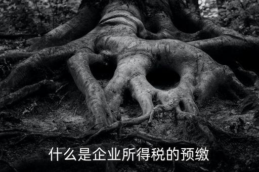 什么是預(yù)交企業(yè)所得稅，什么是企業(yè)所得稅的預(yù)繳