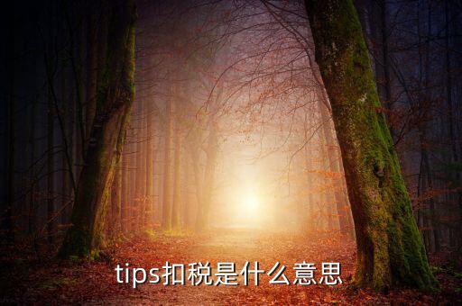 國稅tips系統(tǒng)指什么意思，電子對賬單上摘要一欄寫有tips是什么意思