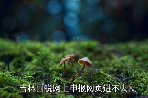 吉林省國(guó)稅上不去為什么，吉林省國(guó)家稅務(wù)局晚上申報(bào) 無(wú)法安全登陸