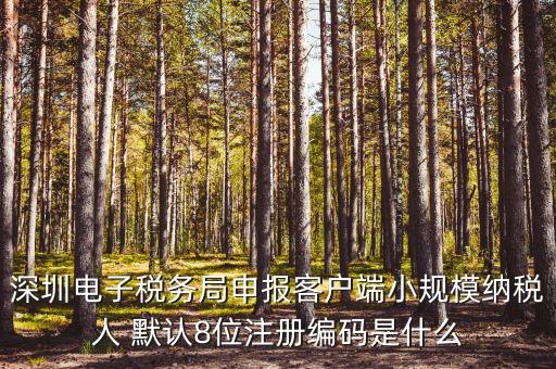 深圳納稅人編號是什么，什么是深圳市國稅百元開頭發(fā)票的納稅人識別號